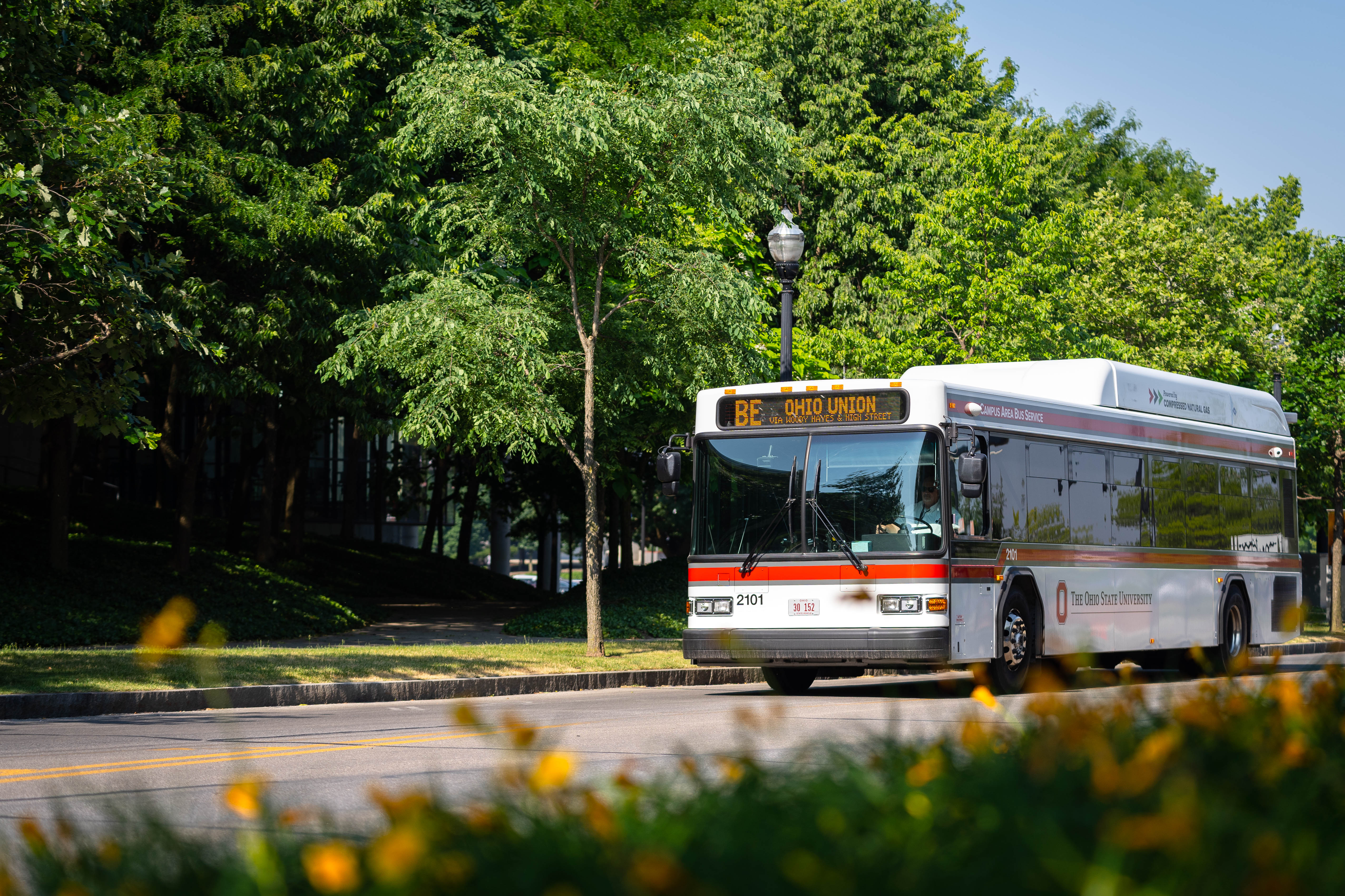 38 Passenger Transit Bus