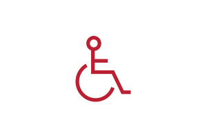 Wheelchair icon